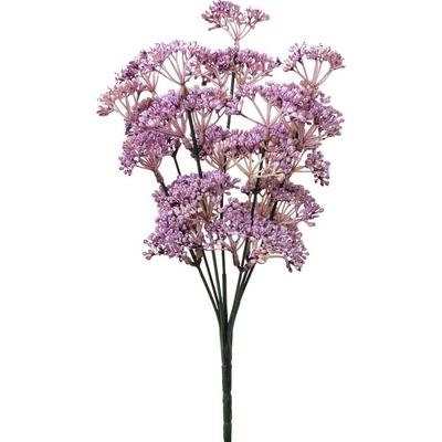 ZÁPICH TRACHELIUM FIALOVÝ 30CM