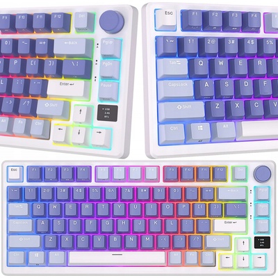 Royal Kludge RKM75 RGB silver blue switch
