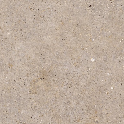 Pastorelli Biophilic P009498 60 x 60 cm greige mat 1,44 m²
