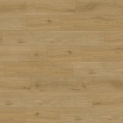 Experto LVT 55 Dub silva 1028L-62 4.18 m²