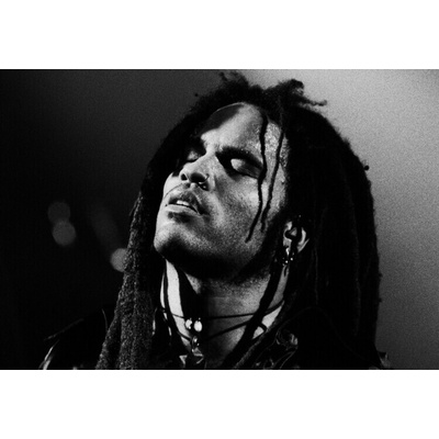 Michel Linssen Plagát, Obraz - Lenny Kravitz, 40 × 26.7 cm