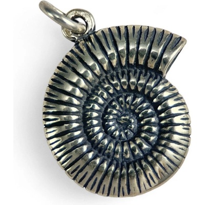 Drakkaria AMONIT stříbrný přívěšek P3982