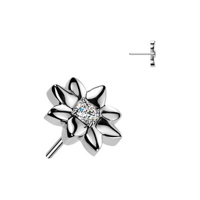 Šperky4U Ozdobná část k PUSH IN piercingu TITAN TIT1669