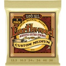 Ernie Ball 3005