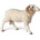 Papo Фигурка Papo Farmyard Friends - Овен (51129)