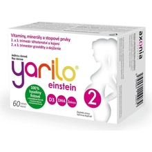 Yarilo Einstein 2 60 tobolek