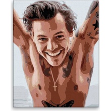 Malování podle čísel Harry Styles 01