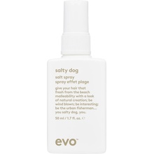 evo Salty Dog Salt Spray 50 ml