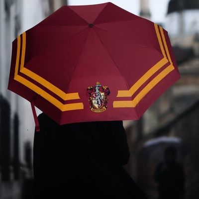Deštník Harry Potter Nebelvír