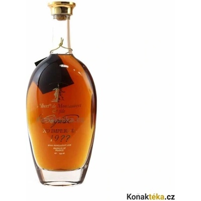 Albert de Montaubert Cognac 1984 45% 0,7 l (kazeta)