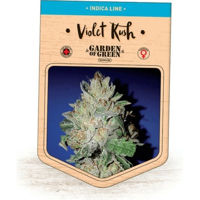 Garden Of Green Seedbank Violet Kush semienka neobsahujú THC 15 ks