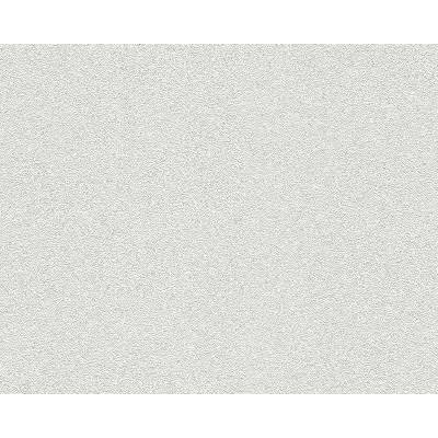 A.S. Création 310019 přetíratelné tapety na zeď Meistervlies Protect 4 rozměry 1,06 x 25 m