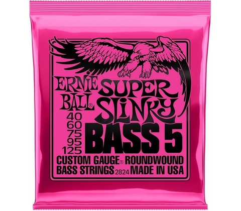 Ernie Ball 2824