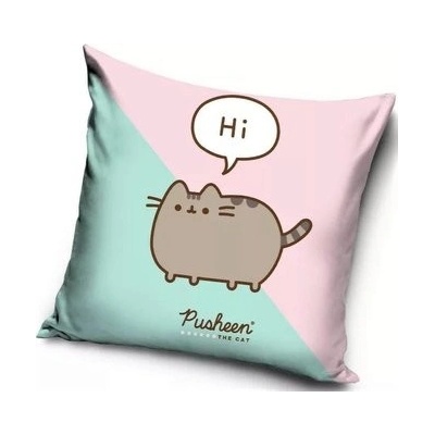 Carbotex KOČIČKA PUSHEEN JÁ KOŠIŠTA růžovo-tyrkysový 40 x 40 cm