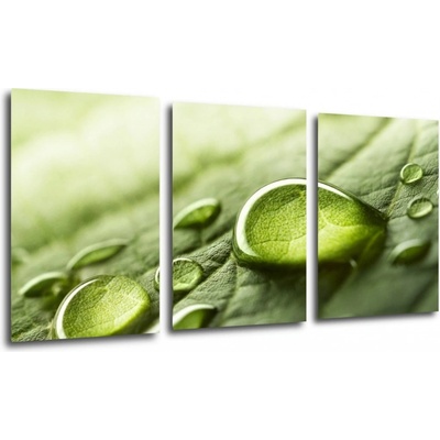 Impresi Obraz Kapky vody na listu - 120 x 60 cm (3 dílný)