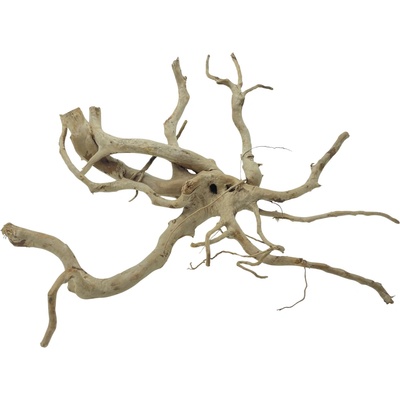 Invital Red moor wood KG 1095 g Z07832