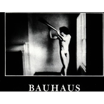 Bauhaus - In The Flat Field CD