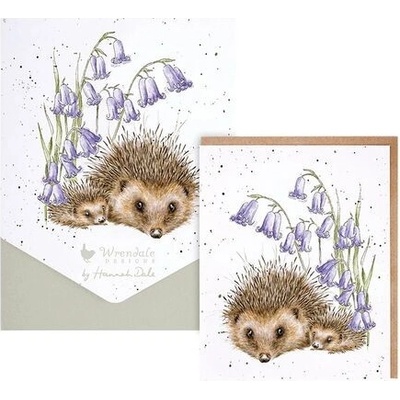 Sada prianí s obálkou "Love and Hedgehugs" 8 ks Wrendale Designs - ježkovia