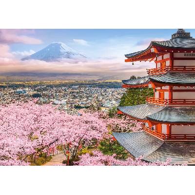 CASTORLAND Jar v Japonsku 500 dielov