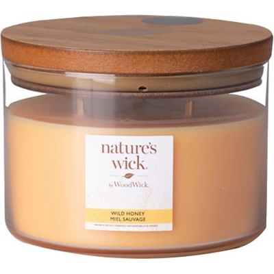 Nature's Wick Wild Honey 433 g