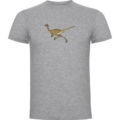 Тениска Kruskis Dino Run short sleeve T-shirt - Grey (Heather Grey)