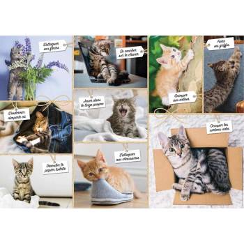 Image 1 of Nathan - Puzzle Cats Foolishness - 1 500 piese