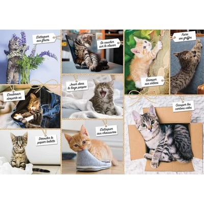 Nathan - Puzzle Cats Foolishness - 1 500 piese