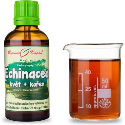 Bylinné kapky Echinacea echinacea kvitnúca vňať + koreň bylinné kvapky tinktúra 50 ml