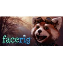 FaceRig