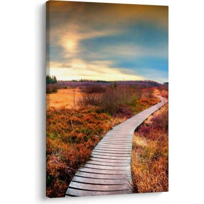 Obraz - Podzimní cesta krajinou, jednodílný 60x90 cm – Hledejceny.cz