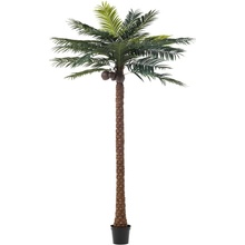 Okrasná palma v květináči Palm Ø190*350cm J-Line by Jolipa