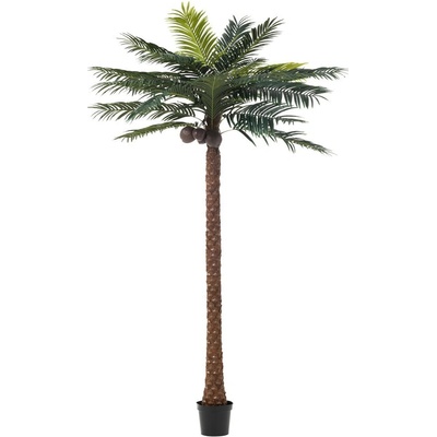 Okrasná palma v květináči Palm Ø190*350cm J-Line by Jolipa