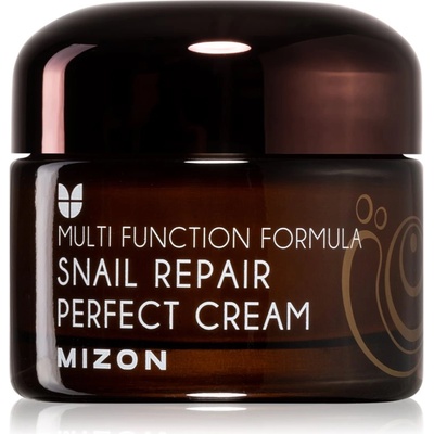MIZON Multi Function Formula Snail крем за лице с филтрат на охлювен секрет 60% 50ml