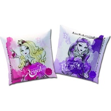 CTI Vankúš Ever after high Versus 40x40