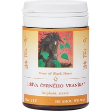 TCM Herbs HRIVA ČIERNEHO VRANÍKA - HE SHOU WU WAN 100 tabliet