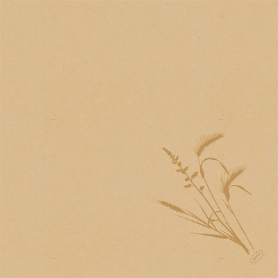 DUNI Servítka bio dsf meadow natura 40x40cm