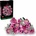 LEGO® The Botanical Collection - Bouquet of Pink Roses (10374)