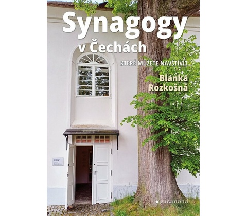 Synagogy v Čechách