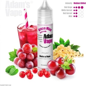 Adams Vape Shake & Vape Grape Mint Lemonade 12ml
