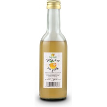 Masticha Terapia Bio Jablečný ocet 350 ml