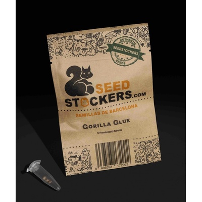 Seedstockers Gorilla Glue semena neobsahují THC 1 ks – Zboží Dáma