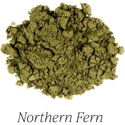 Uoga Uoga Sypké oční stíny s jantarem 720 Northern Fern mechově zelená matná 1 g