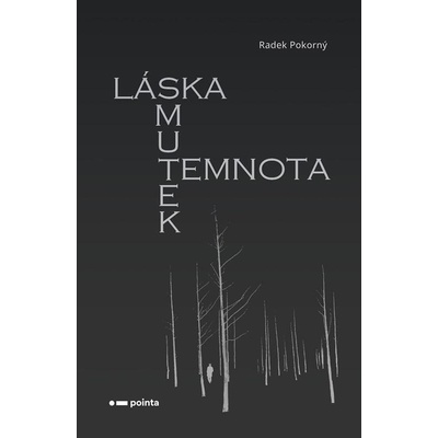 Láska, smutek, temnota - Radek Pokorný