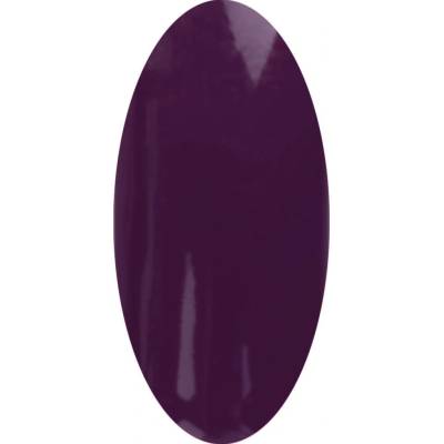 Laif Barevný Led Uv gel PT 104 fialový 6 ml