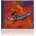 S&M Airlines CD