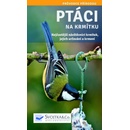 Ptáci na krmítku
