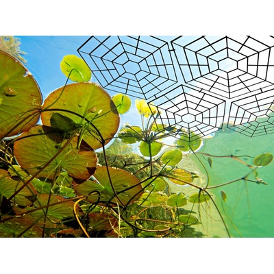 Gardigo Pond Protection Grid 6008420