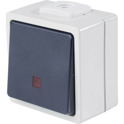 AS Schwabe 62453 tlačítko s osvětlením IP54 šedá