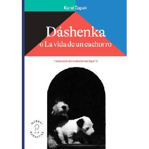 DASHENKA (2023)
