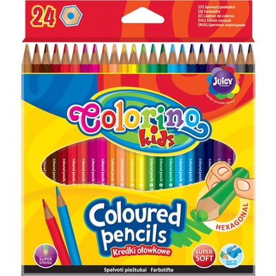 Patio Colorino 24ks HEX 298728